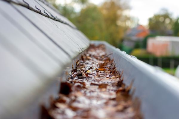 Commercial Gutter Cleaning in Kingsport