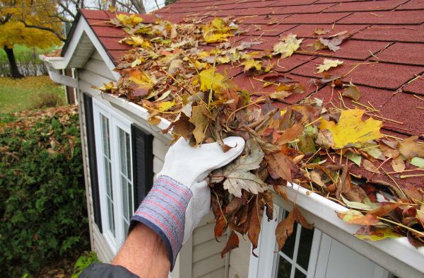 Rain Gutter Cleaning Service in Kingsport