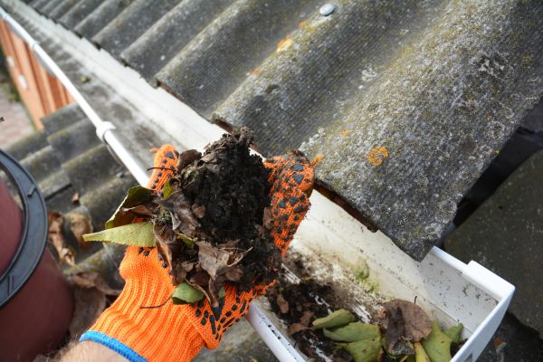 Seamless Gutter Cleaning in Kingsport