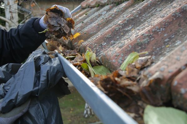 Commercial Gutter Unclogging in Kingsport