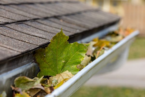 Commercial Downspout Cleaning in Kingsport