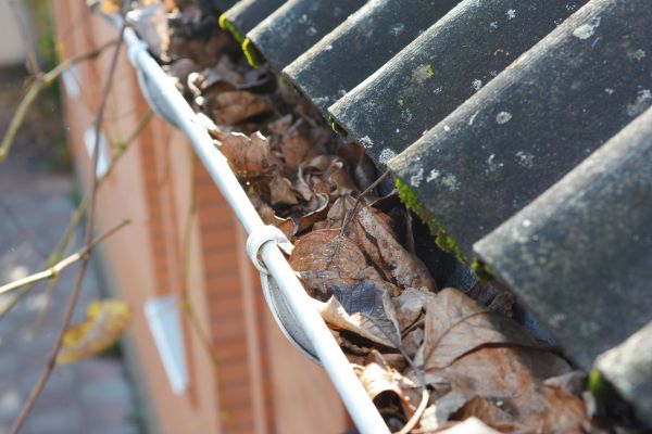 Home Gutter Cleaning in Kingsport
