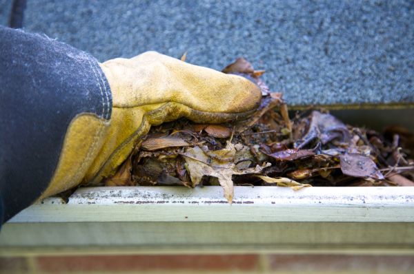 Jammed Gutter Cleaning in Kingsport