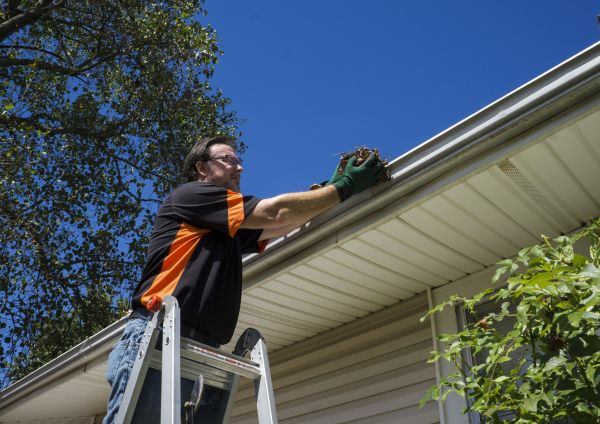 Eavestrough Clearing in Kingsport