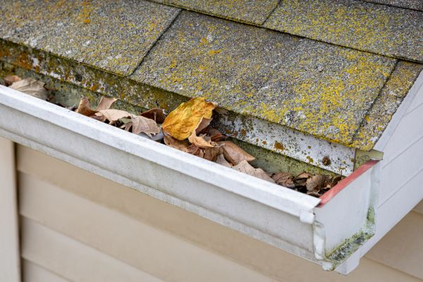 Garage Gutter Cleaning in Kingsport