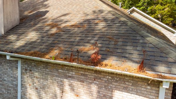 Gutter Pine Needle Removal in Kingsport