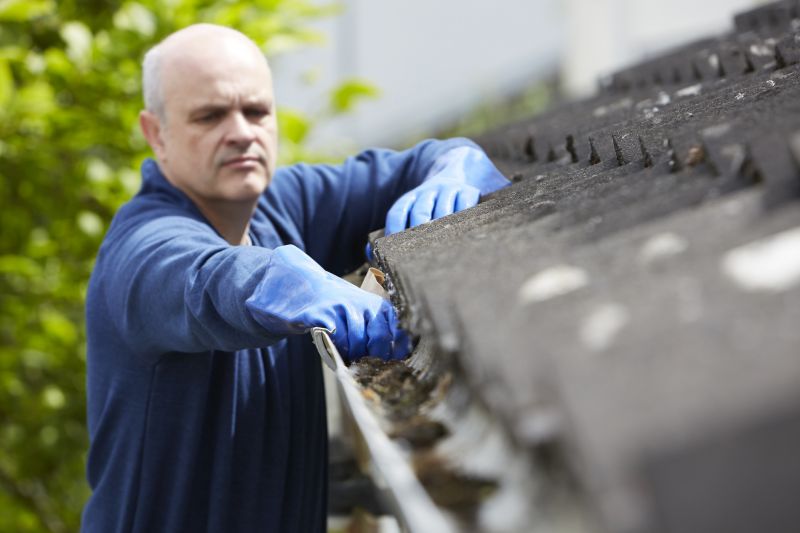 Clean Gutter Inspection
