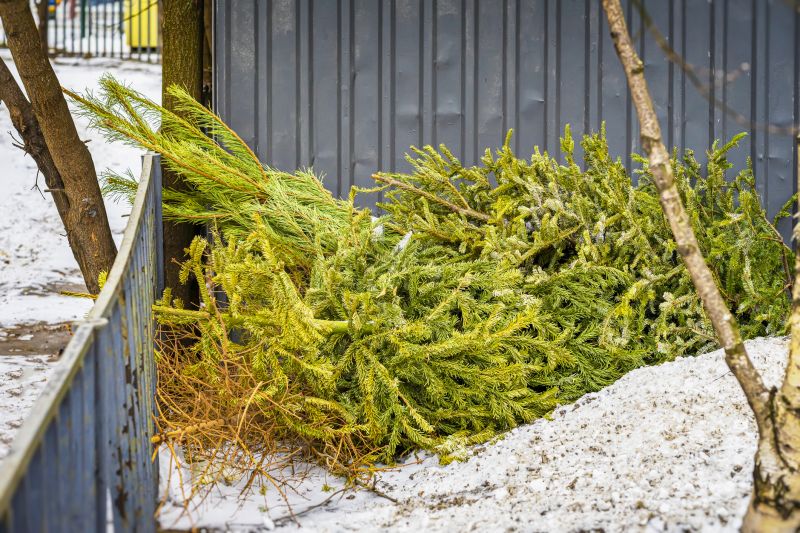 Gutter Pine Needle Removal